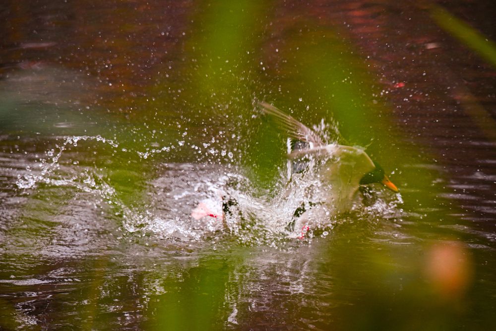 Photograph by Евгений Николаенков