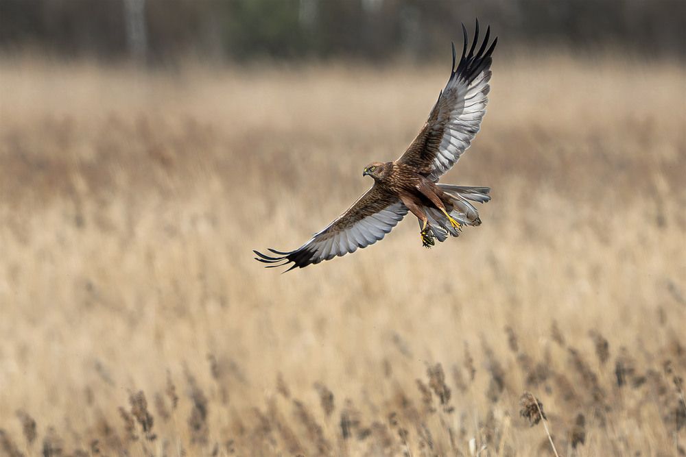 Photograph by Шульгин Вадим