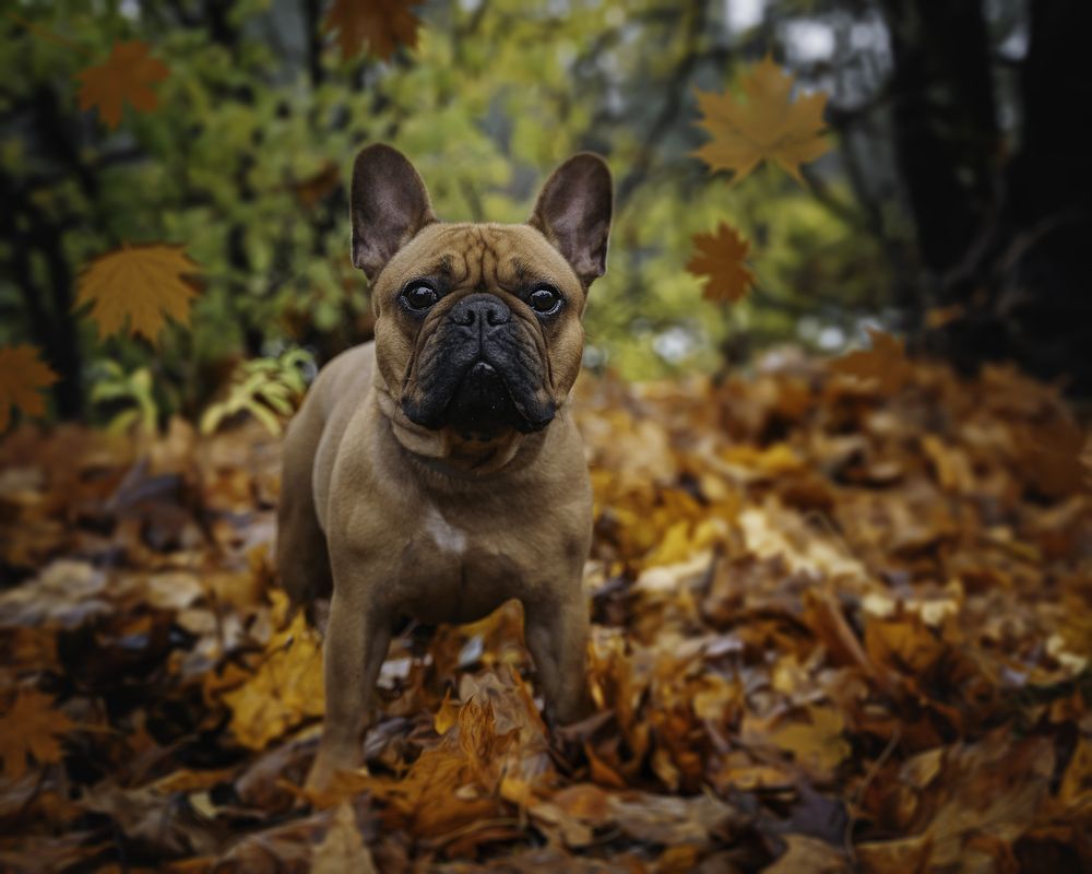 Photograph by Anna Sindikayeva