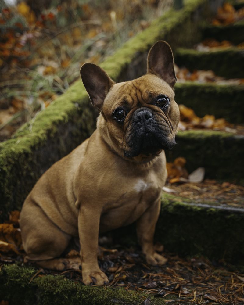 Photograph by Anna Sindikayeva