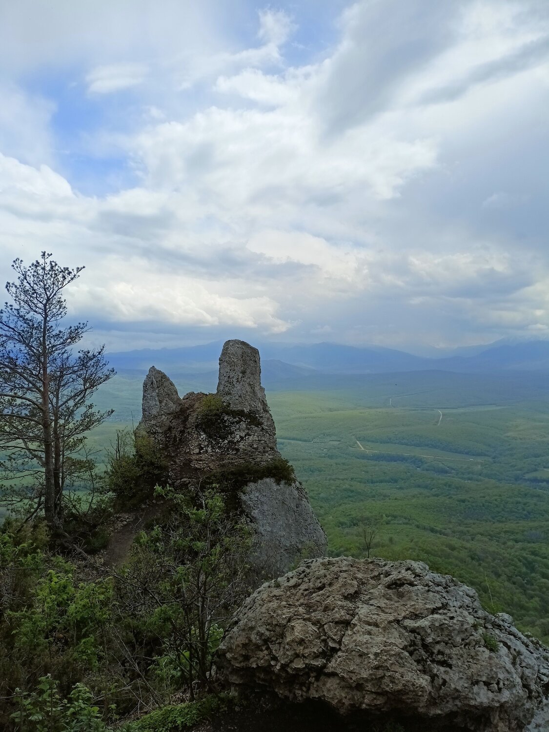 Photo #12776146