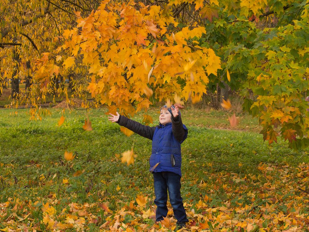 Фотография автора Борис Журавлёв