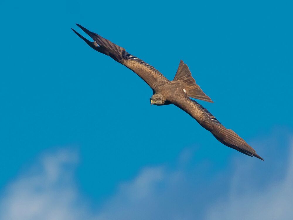 Photograph by Николай Абакумов