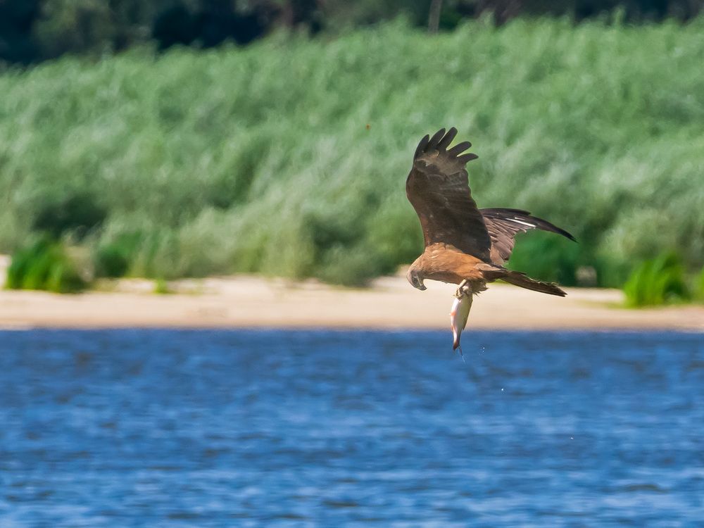 Photograph by Николай Абакумов