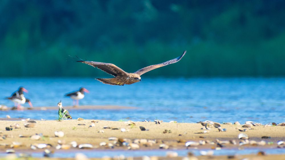 Photograph by Николай Абакумов