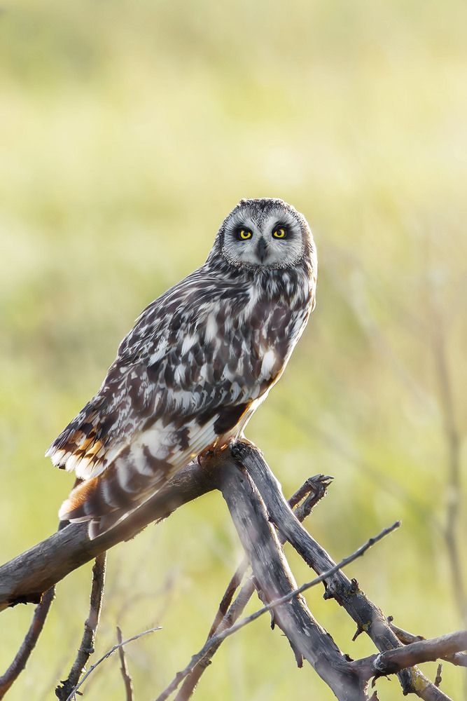 Photograph by Шульгин Вадим