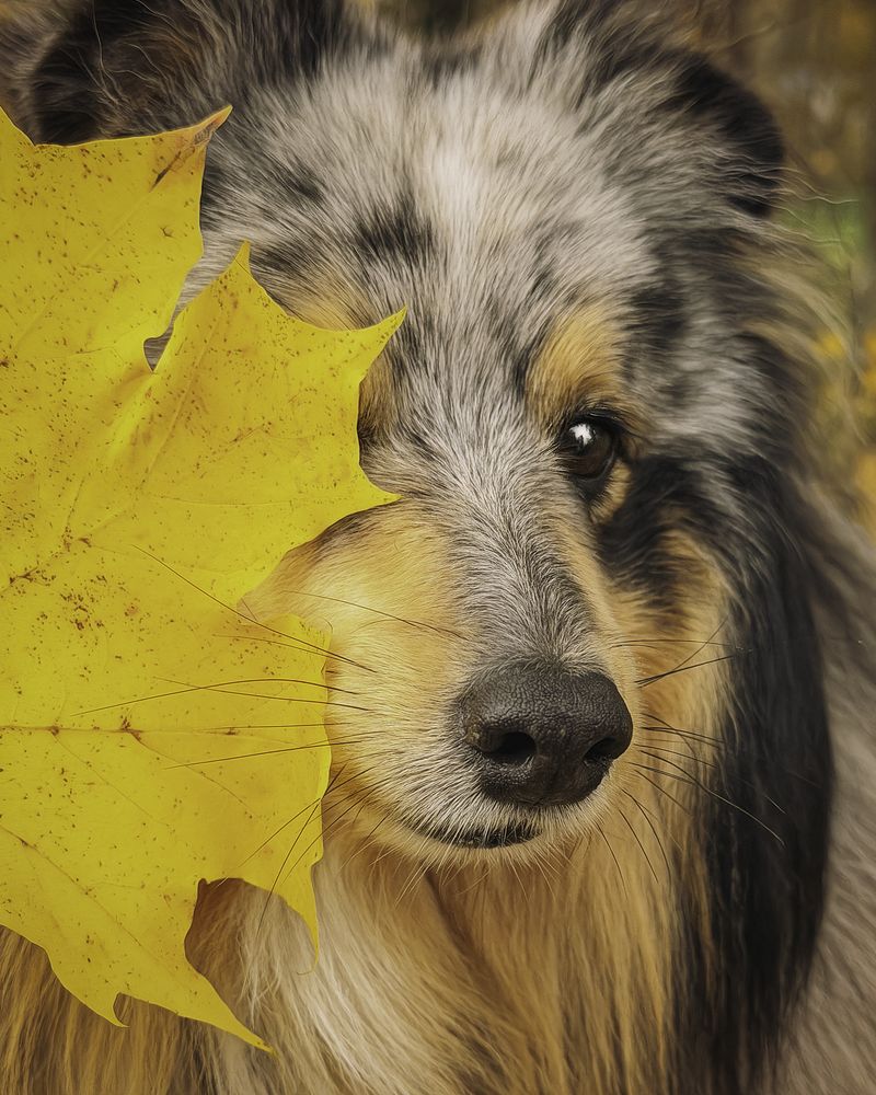 Photograph by Anna Sindikayeva