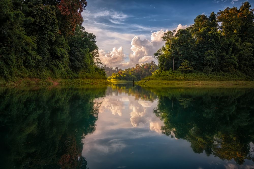 Piece of Eden