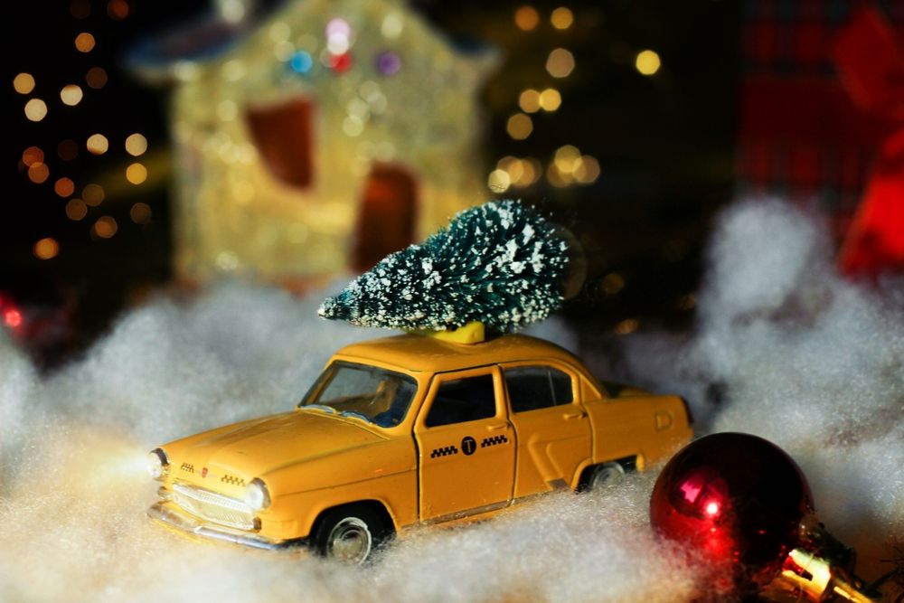 Photograph by Елена Макаренко