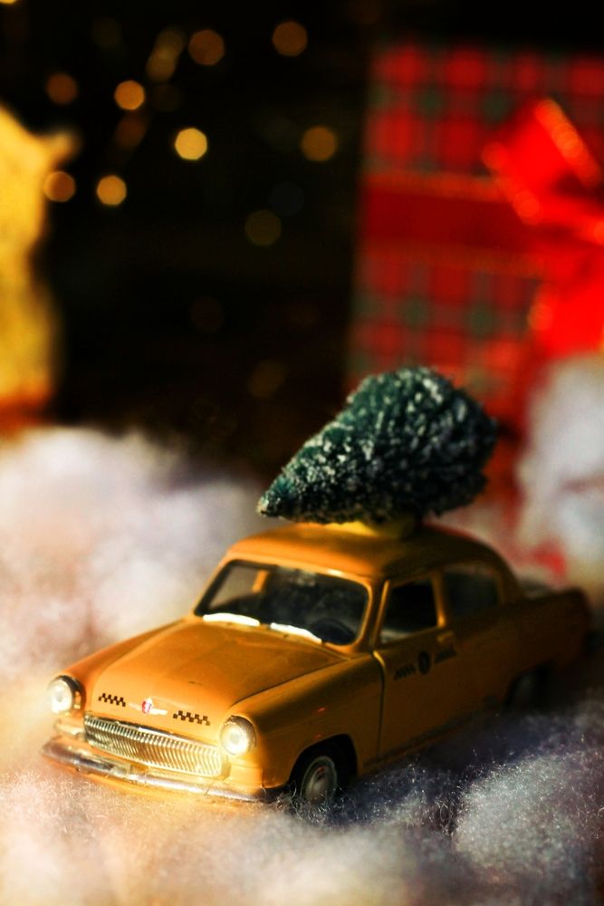 Photograph by Елена Макаренко