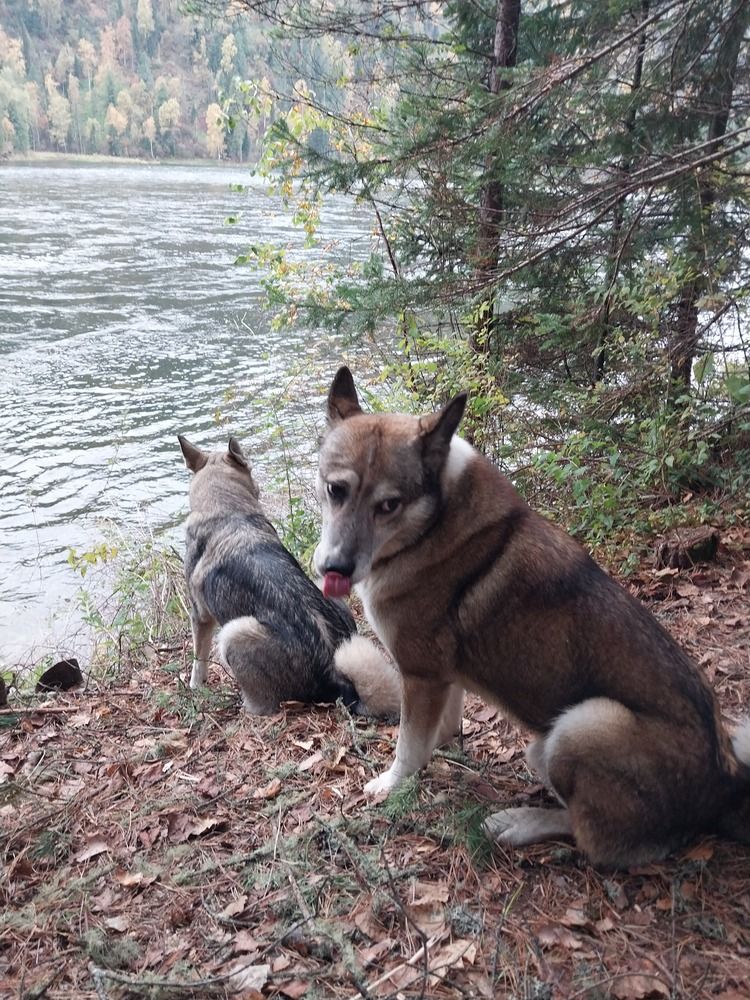 Photograph by Юлия Фирман