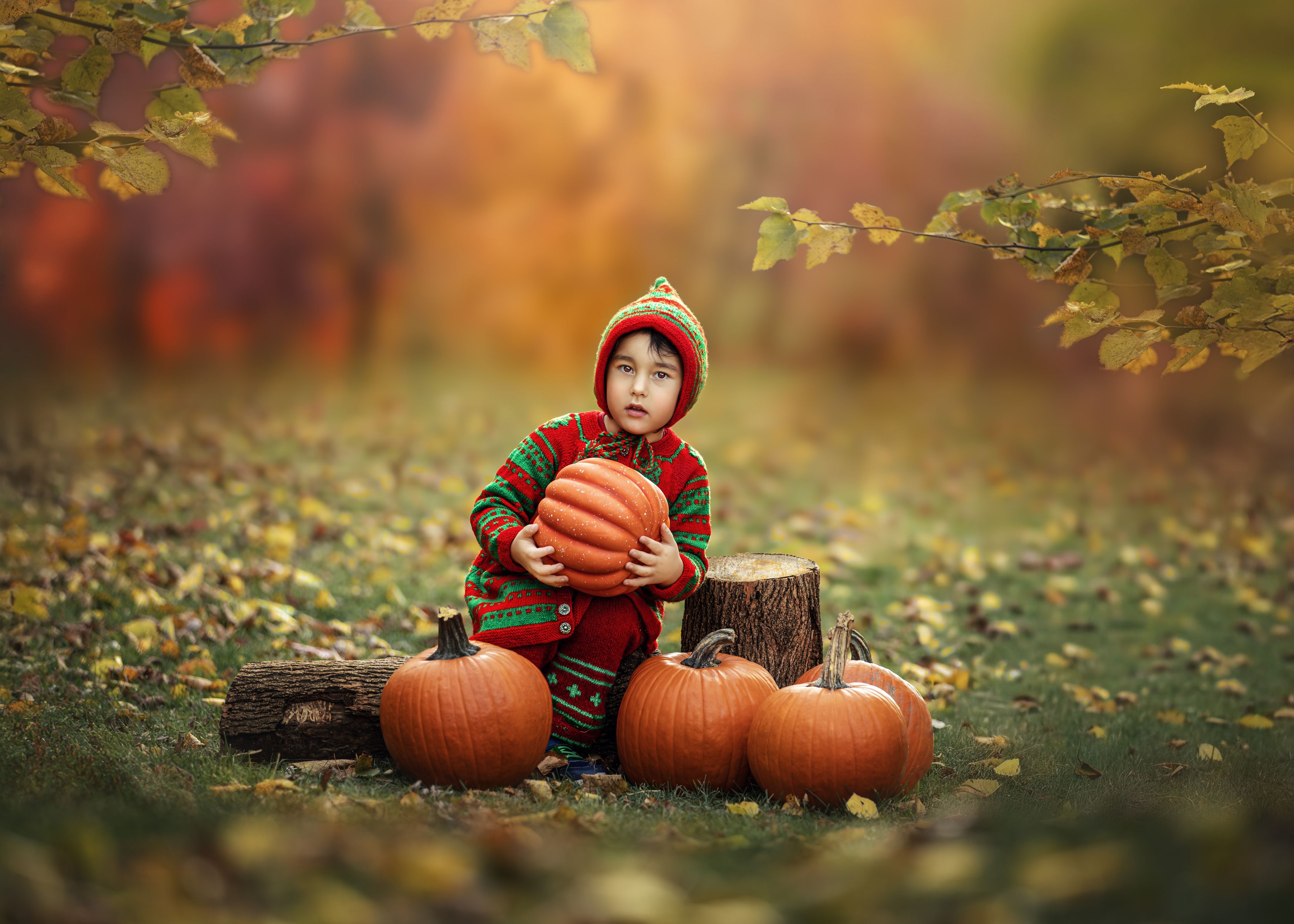 Photograph by Meilleurs Moments