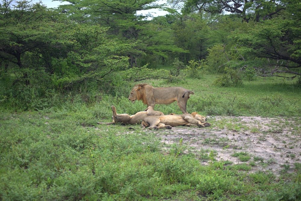 Photograph by Владимир Кулешов