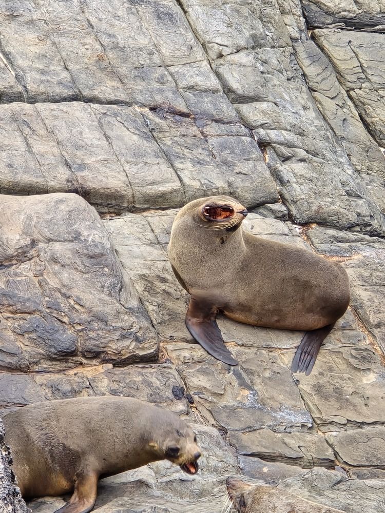 Photograph by Светлана