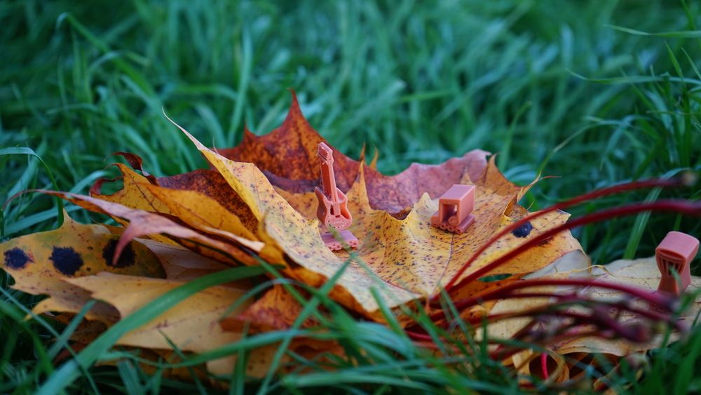 Photograph by Татьяна Дмитриева