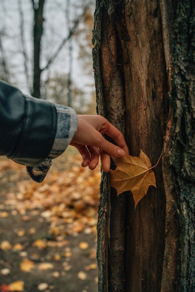 Photograph by Евгения Чернова