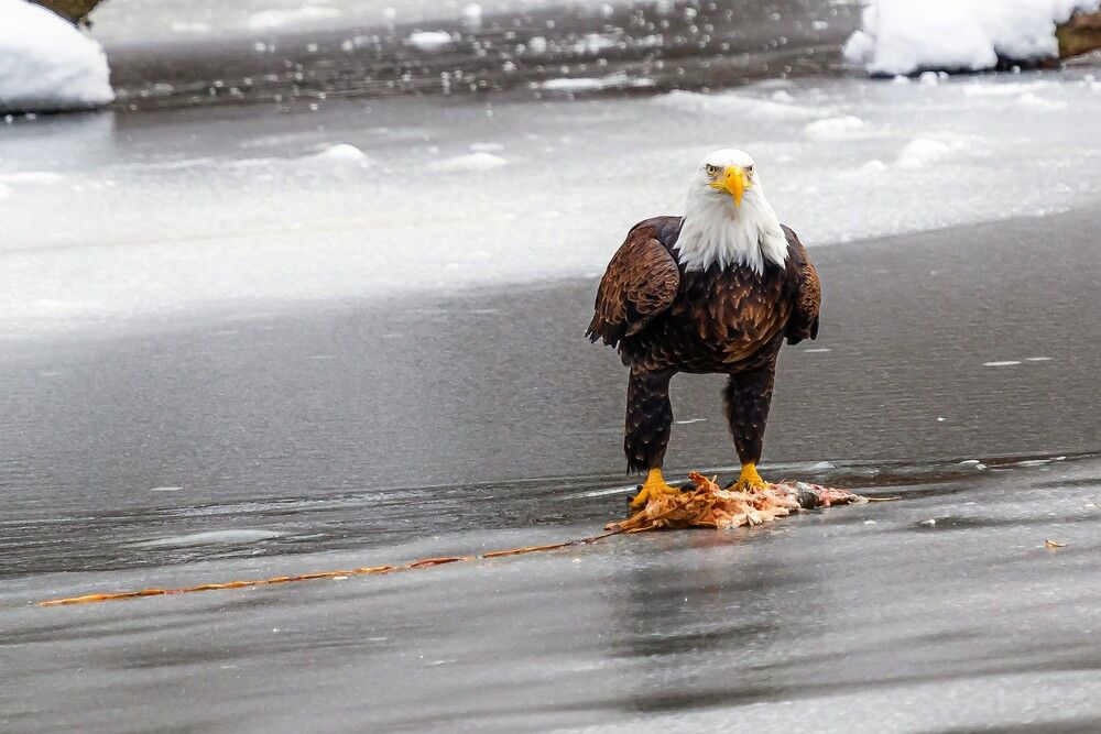 Photograph by Bulat Bayzuldin