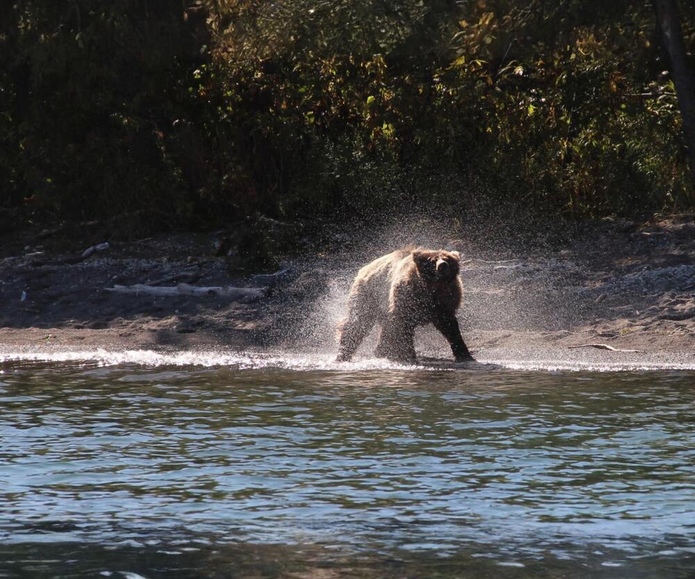 Фотография автора Эльза Завьялова