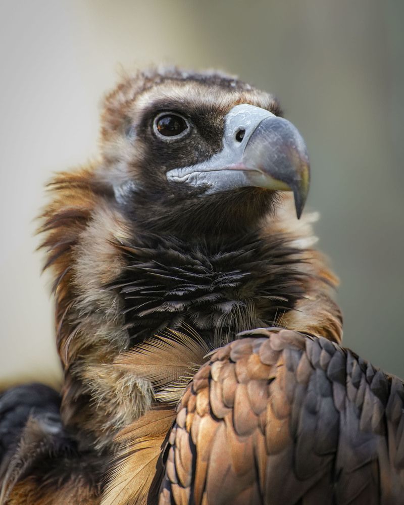 Photograph by Анастасия Подгрушная