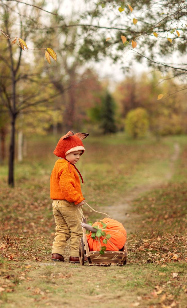Фотография автора Шутенкова Евгения