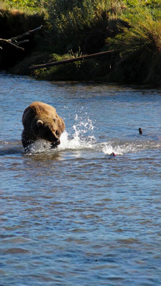 Фотография автора Эльза Завьялова