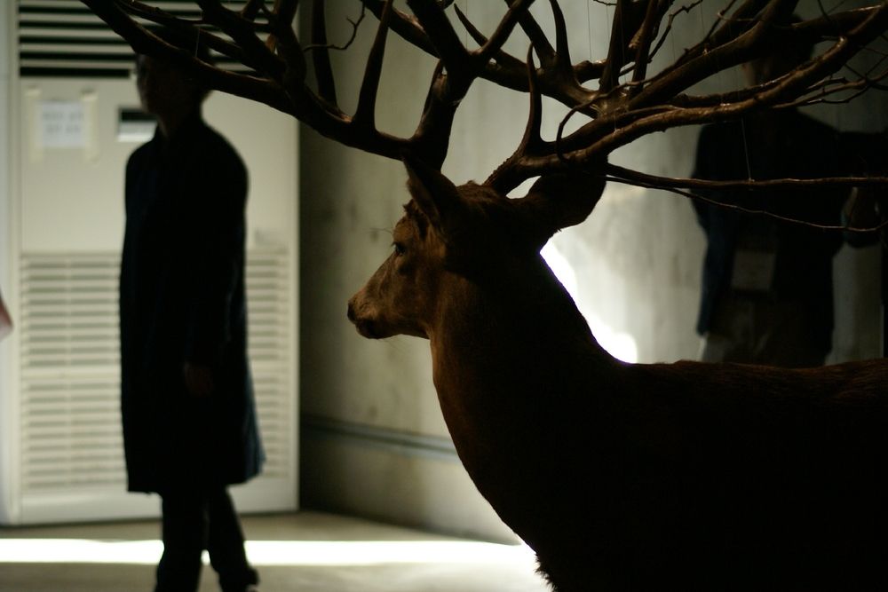 Фотография автора Hvabek Kim