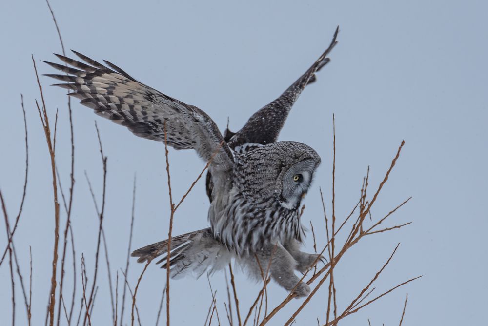 Припарковалась