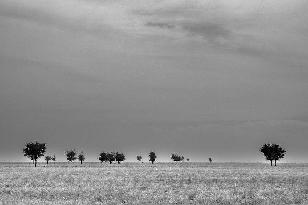 Фотография автора Олег