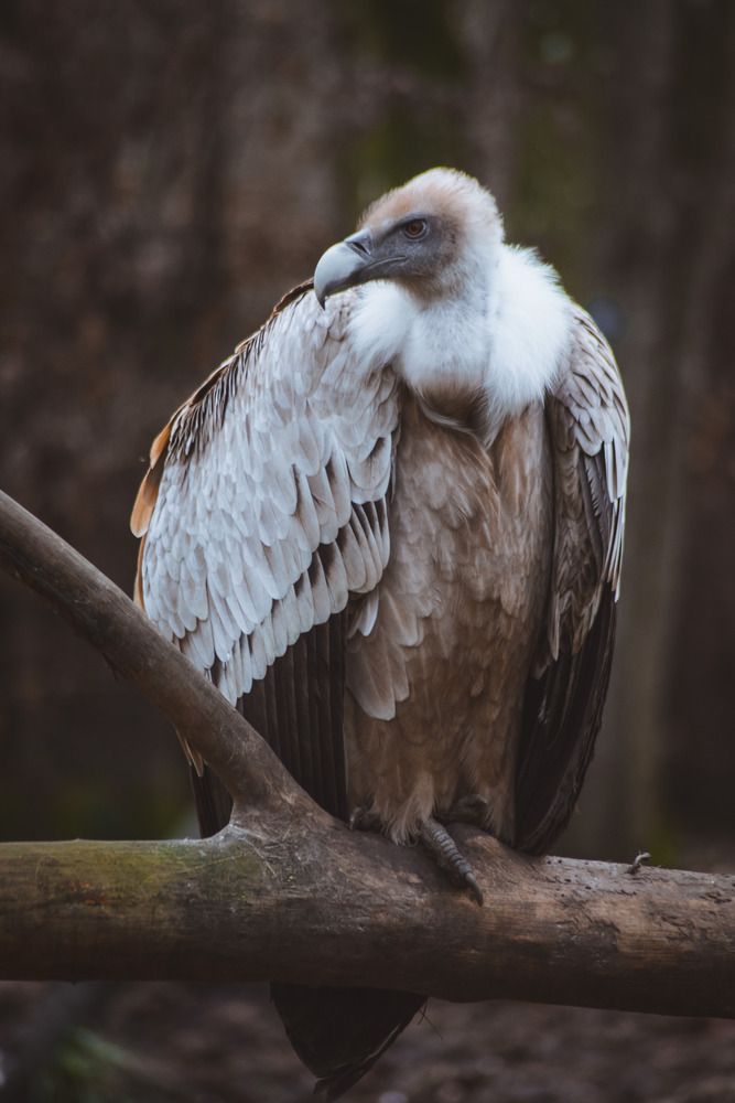 Photograph by Luka Mitrovic