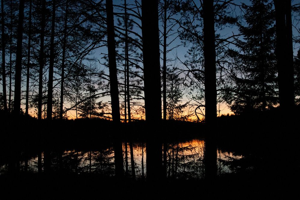 Photograph by Бугаев Олег