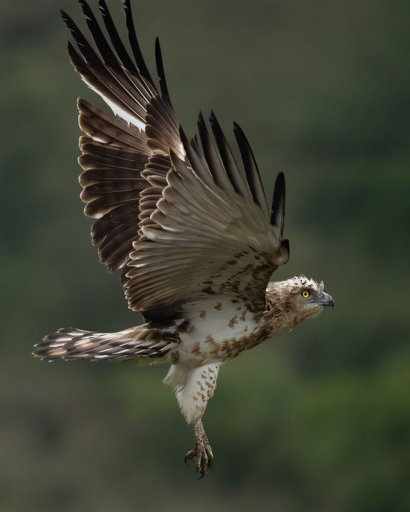 Photograph by Mahesh Kumar V Kolekar