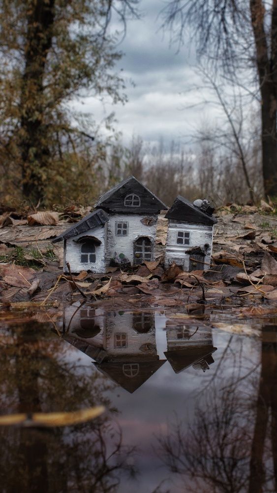 Фотография автора Татьяна Гончарова