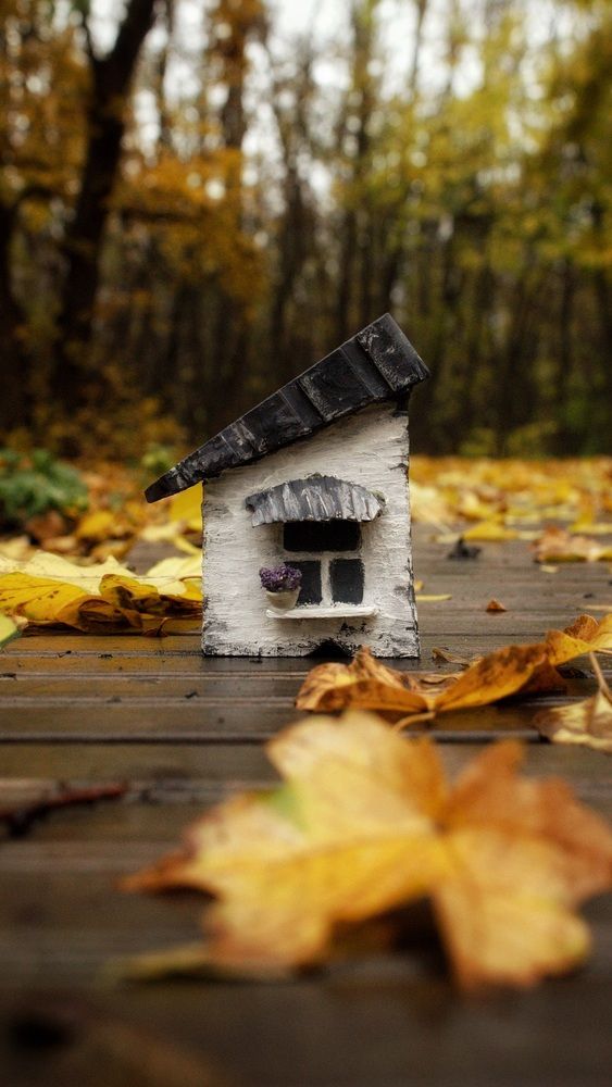 Фотография автора Татьяна Гончарова