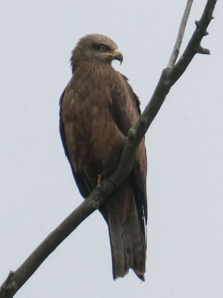 Photograph by Ирина Дегтярева