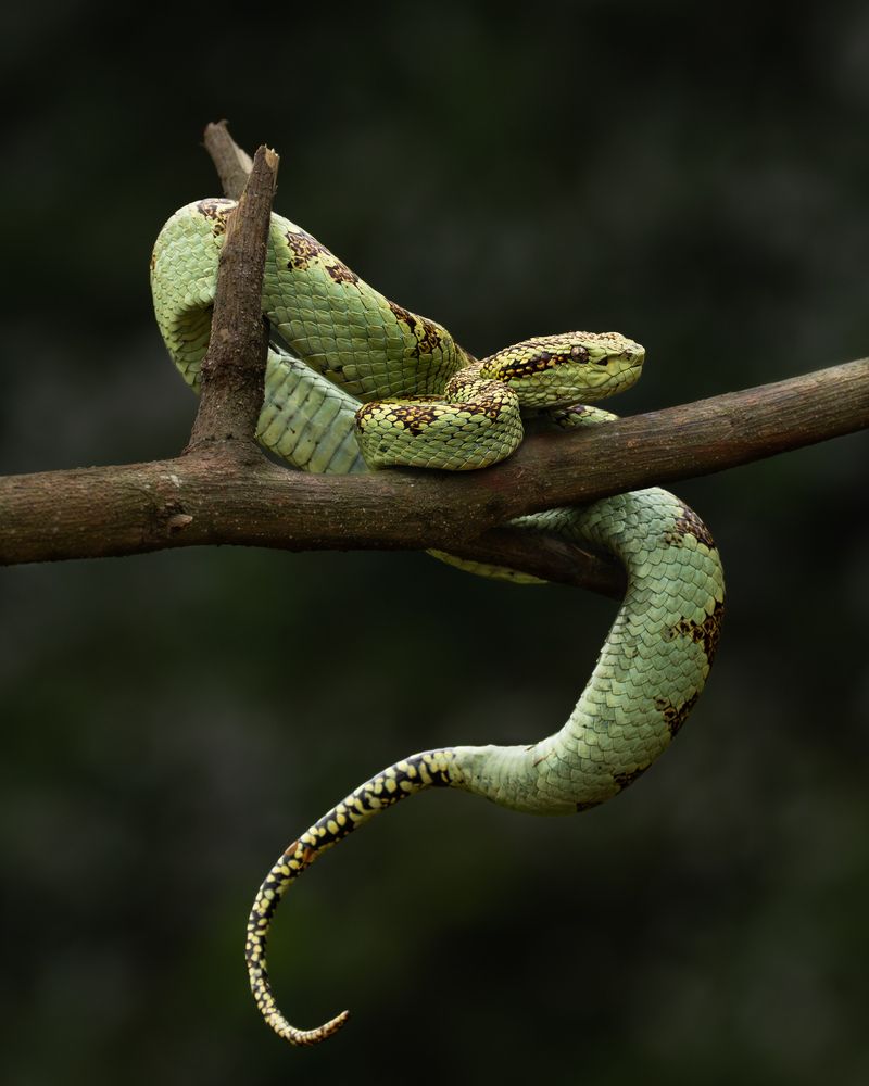 Photograph by Mahesh Kumar V Kolekar