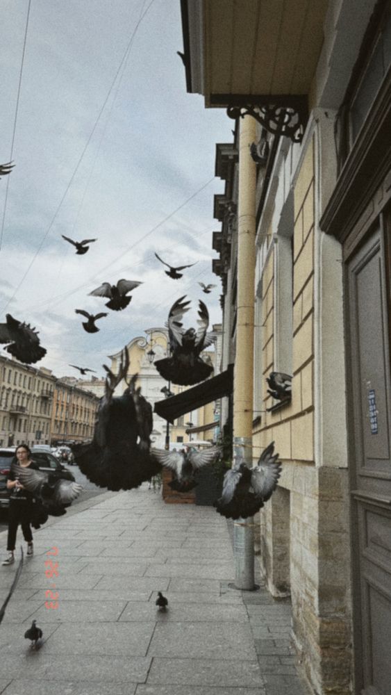 Photograph by Марина Дервиз