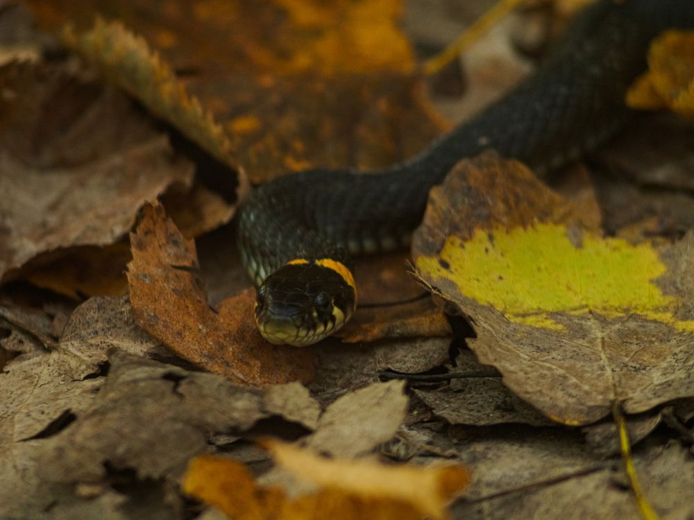 Photograph by Chelyshev Boris