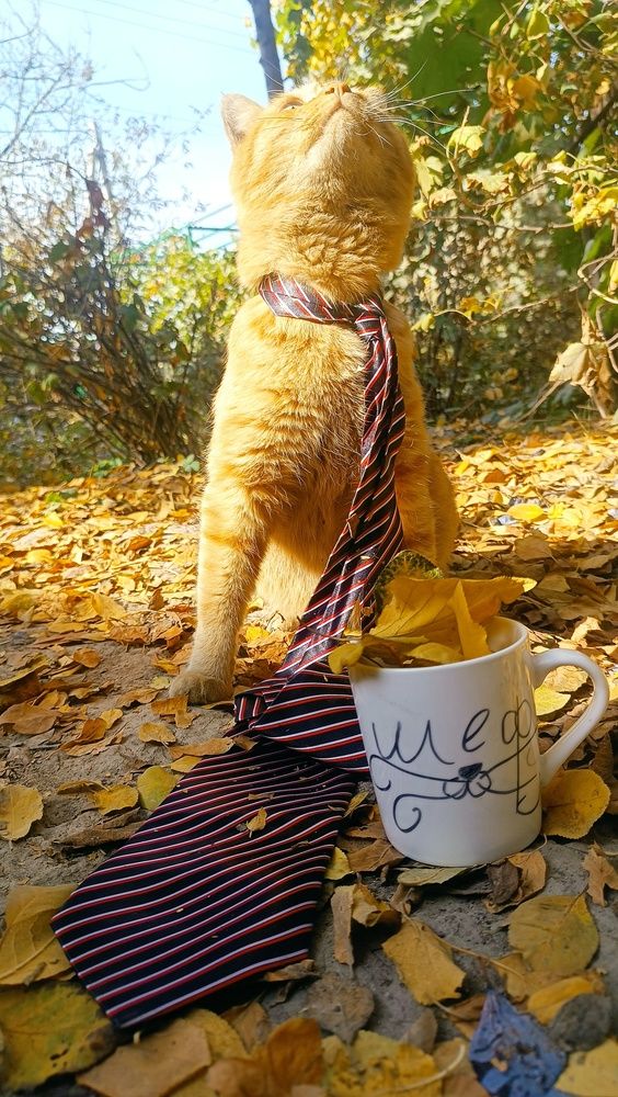 Photograph by Ангелина Воронцова