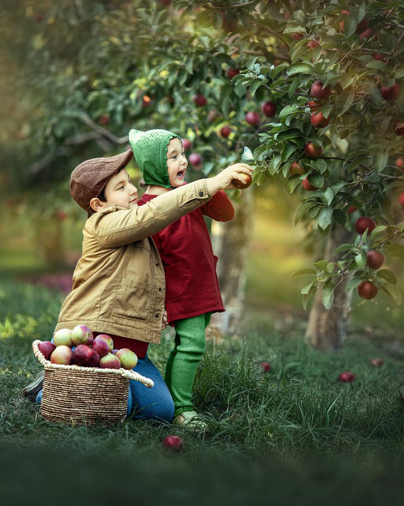 Beautiful children in Apple Orchard