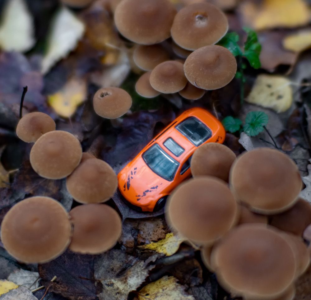 Фотография автора Николай Нестеренко