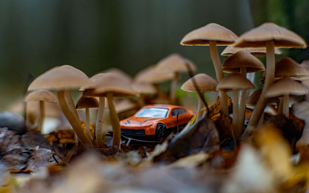 Фотография автора Николай Нестеренко