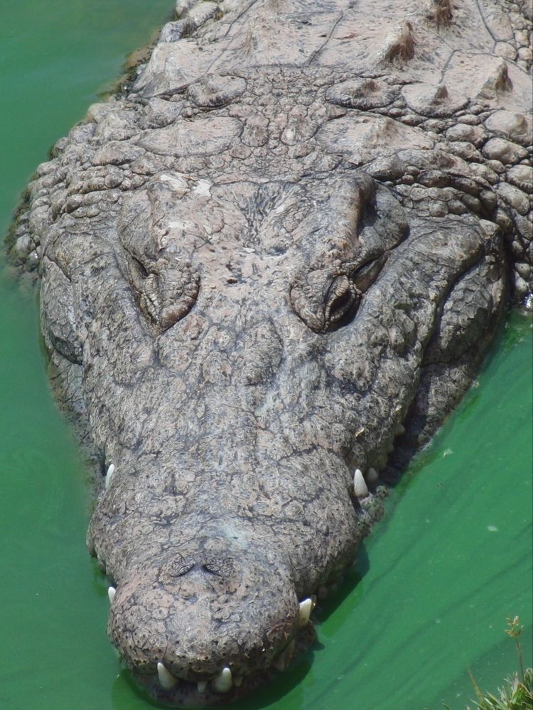 Photograph by Вадим Богатиков