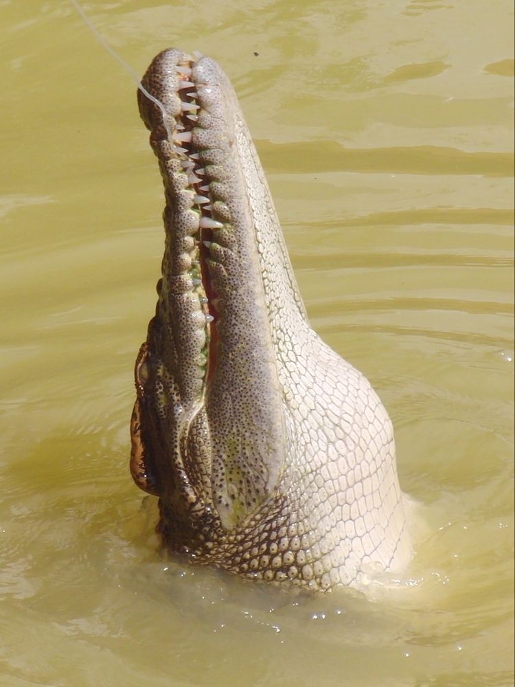 Photograph by Вадим Богатиков