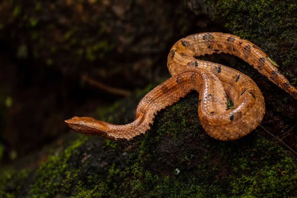 Photograph by Shalini Jain