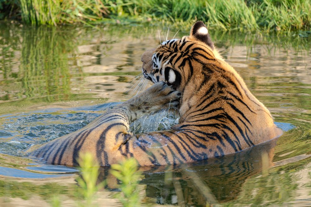 Photograph by Сергей Жиркевич