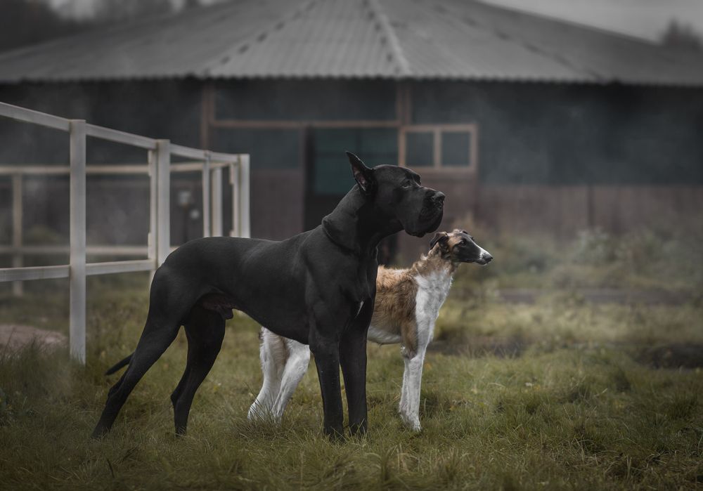 Photograph by Людмила Подольская