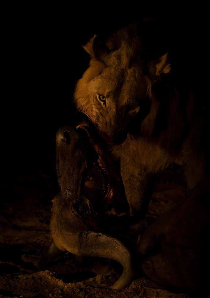 Photograph by Turgay Uzer