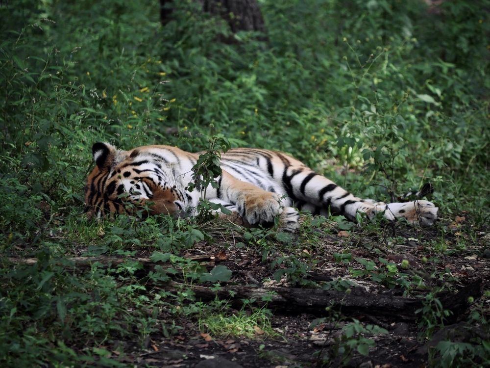 Photograph by  Максим П.