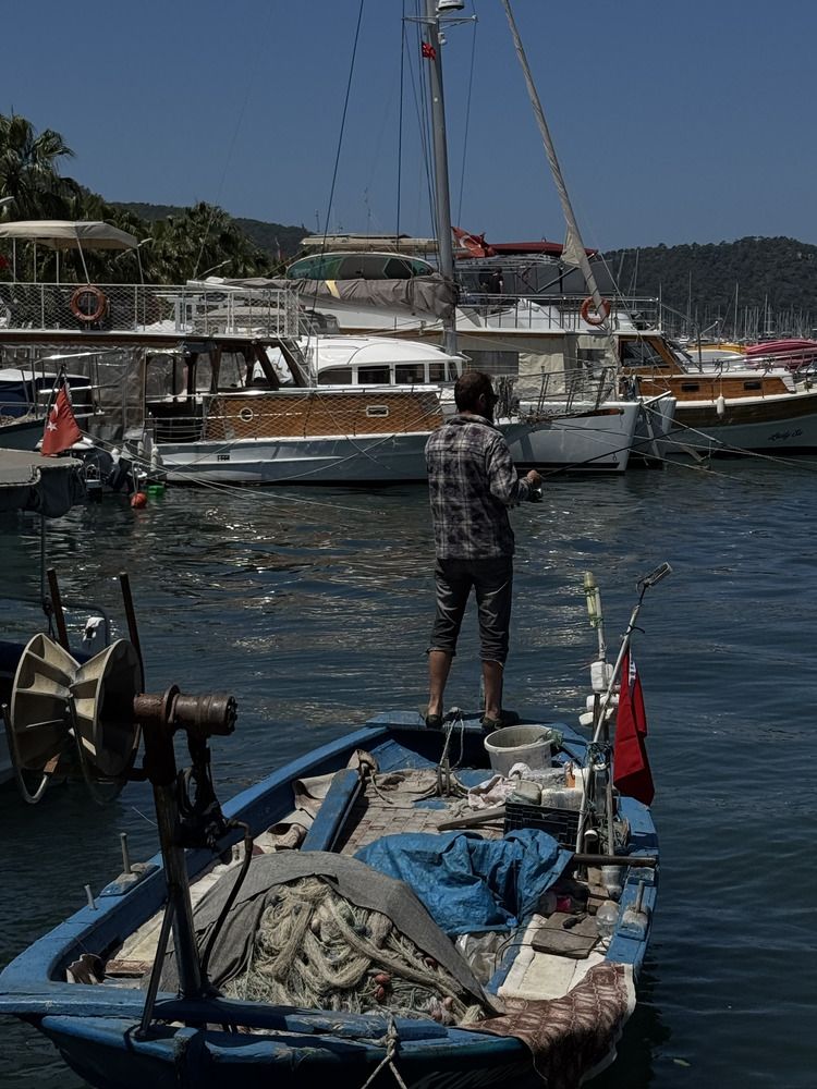 Photograph by Евгений Соседков