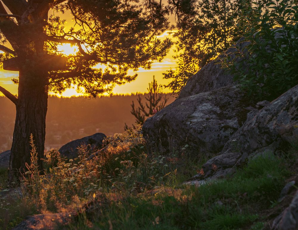 Photograph by Петр Жаринов